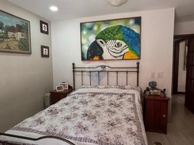 Luxury Rio Home: Spacious, Secure, Pet Friendly Oasis