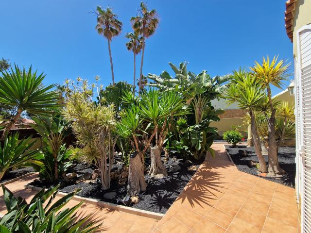 Luxury villa near beachfront in Caleta De Fuste