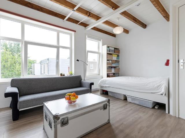 Luxe gerenoveerde studio
