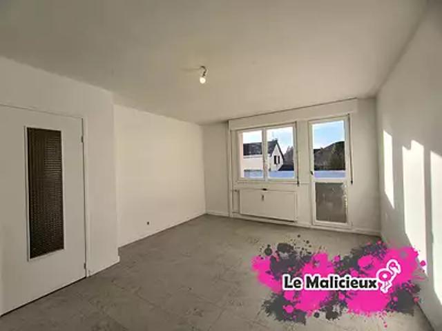 Luxeuil les Bains 70300 Achat / Vente appartement 3 pièces t3 cave