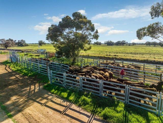 Lynbrae Aggregation. Broadacre and Irrigation. Livestock
