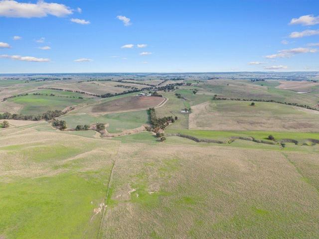 Lyndonlea