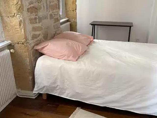 Lyon 1er 69001 Location appartement 1 pièce t1