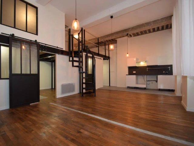 Lyon 1er Pentes de la Croix Rousse: Magnifique loft
