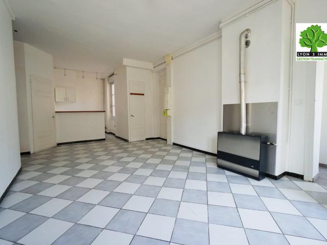 Lyon 3 Guillotière Duplex T4 en dernier étage