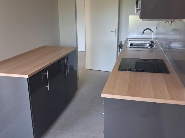 Lyon 3 Un appartement de type 3 entièrement rénové