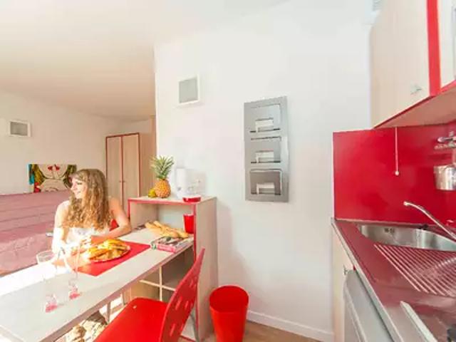 Lyon 7ème 69007 Location appartement 1 pièce t1 au dernier étage