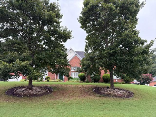 Mccoy Dr