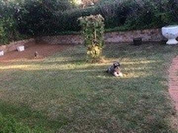 Cotter River, Jembaicumbene