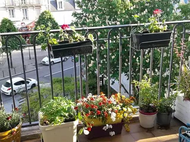 Mantes la Jolie 78200 Achat / Vente appartement 3 pièces t3 cave
