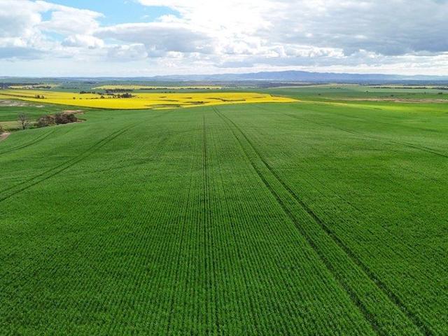Manageable Mixed Farming Opportunity