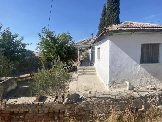 Manisa Salihli Dombaylı Köyünde Satılık Zeytinlikli Köy Evi