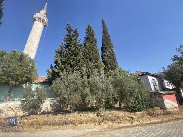 Manisa Salihli Dombaylı Köyünde Satılık Zeytinlikli Köy Evi