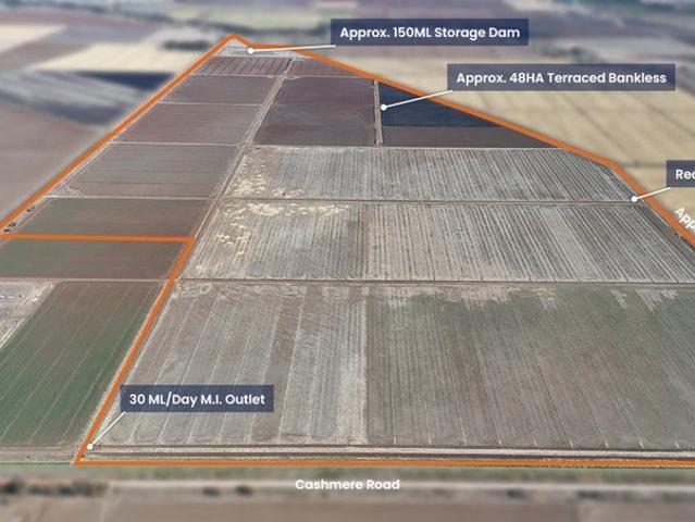 Mannes Agencies is proud to present Farm 2526, 408 Cashmere Road, Widgelli