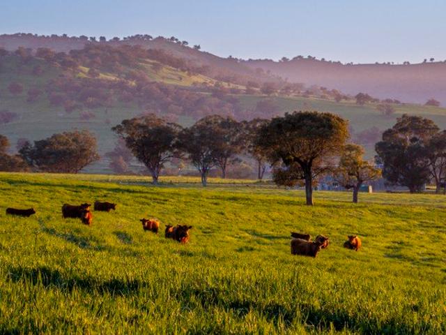 'Mannings Run' Productive Basalt Country with Spectacular Coolah Valley Views