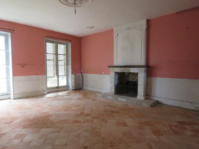 Manoir XVe XVIe XIXe à restaurer avec dépendances, parc. 330m² Buzançais