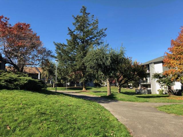 Manpreet Estates Apartments 2 Bedroom Apartment for Rent at 2959 & 2959 Tims Street, Abbotsford, BC V2T 4G2 Clearbrook Centre