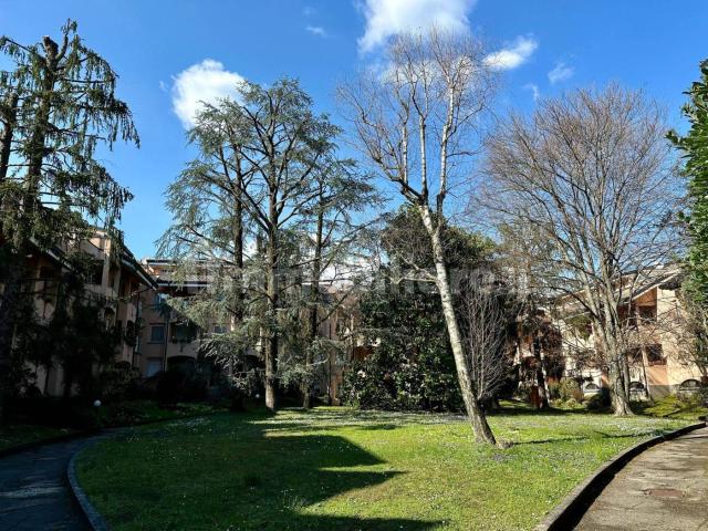 Mansarda 55 m² con balcone, Inverigo