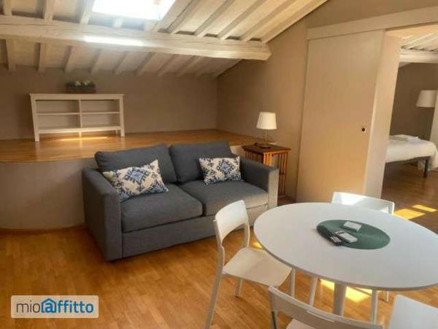 Mansarda arredata con terrazzo Rifredi