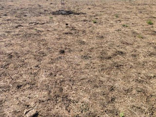 Maarg Arihant Palms,Nainod Residential Plot For Sale Indore