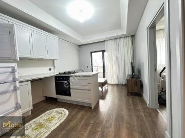 Gölevi, Ünye, Ordu