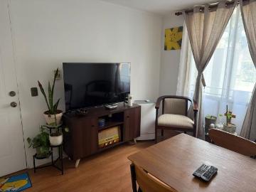 Macul/Los Plátanos, Macul