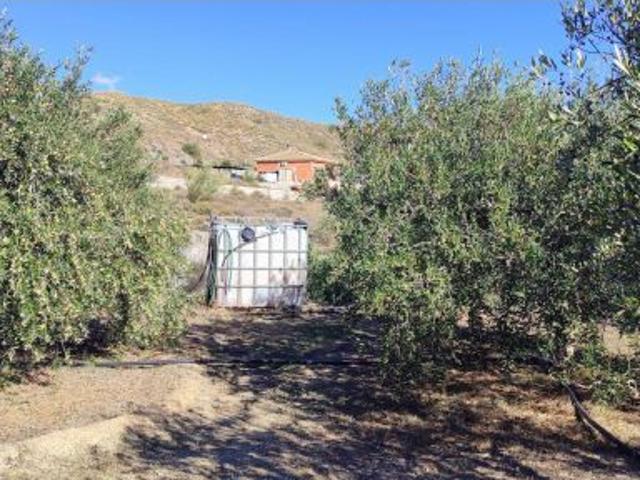 MACAEL ALMERÍA. VENTA DE CASA DE CAMPO DE UNA PLANTA CON TERRENO