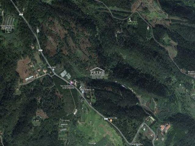 Machico Ilha da Madeira 96309644