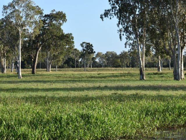 MACKAY'S PREMIER COASTAL GRAZING & WATERFRONT LIFESTYLE HOLDING 390.75 Acres Four Freehold Titles Private Boat Ramp Light Aircraft Strip