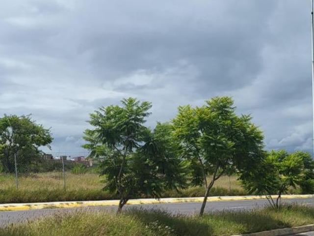 MACRO LOTE EN BANTHI SAN JUAN DEL RIO 4.8 HRS