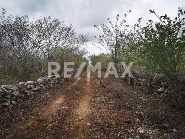 MACRO LOTES CON ACCESO EN SINANCHE YUCATÁN EN VENTA