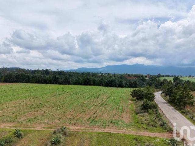 Macro Lotes en Venta en Zacatlán las Lajas para desarrollo