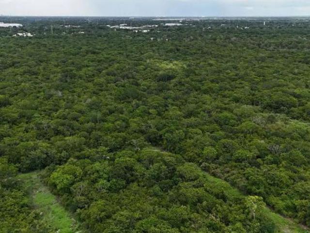 Macrolote de 45,724.78M2 en Venta en Santa Cruz Palomeque