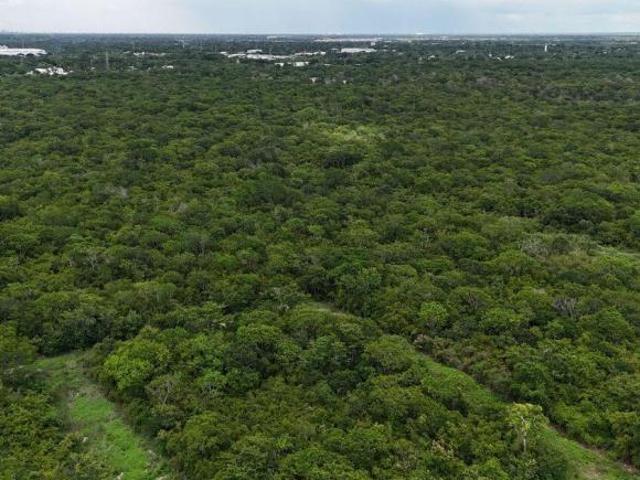 Macrolote de 45,724.78M2 en Venta en Santa Cruz Palomeque