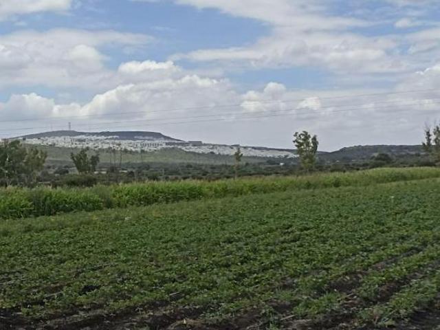 Macrolote en Venta en Amazcala