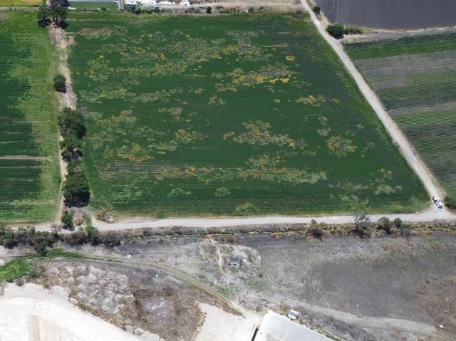 MACROLOTE EN VENTA EN EL ROMERAL, CORREGIDORA. QRO