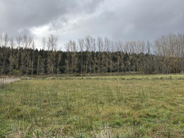 MACROLOTES DE 1,5 HA CON LAGUNA NAVEGABLE