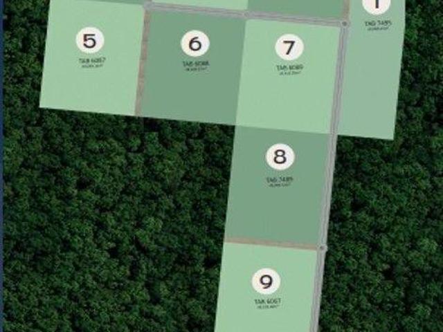Macrolotes Residenciales Aloma | NLP |