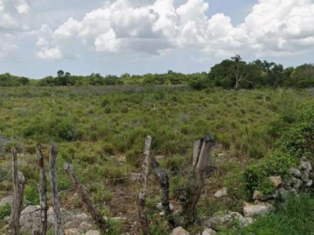 Macroterreno en venta sobre carretera de acceso directo a Dzemul