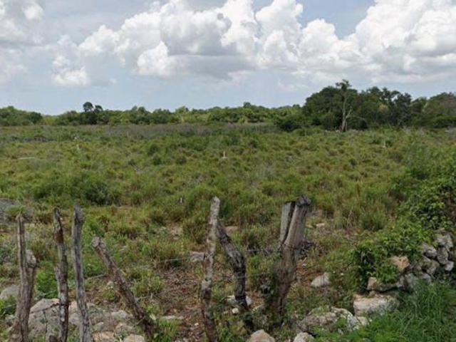 Macroterreno en venta sobre carretera de acceso directo a Dzemul 8.7 has