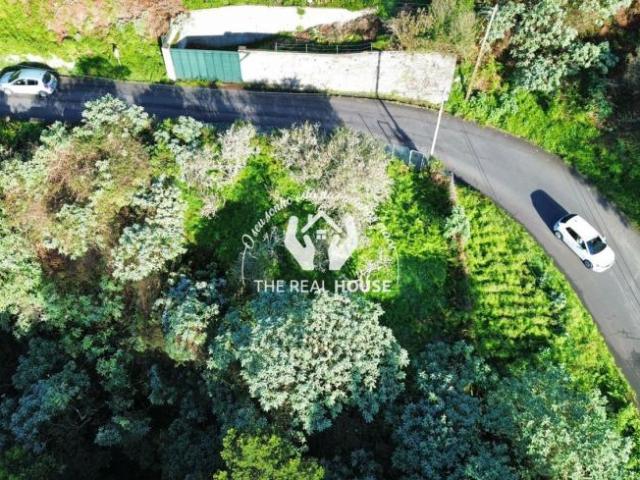 Madeira Machico 9200 98048580