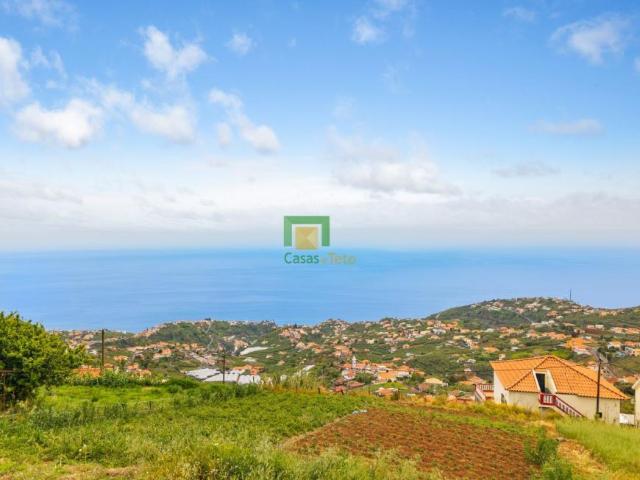 Madeira Ponta do Sol 9360 100900942