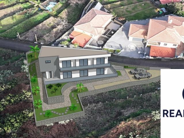 Madeira São Vicente 9240 104067158