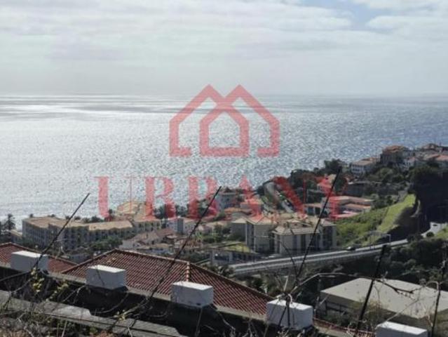Madeira Santa Cruz 9100 99411085