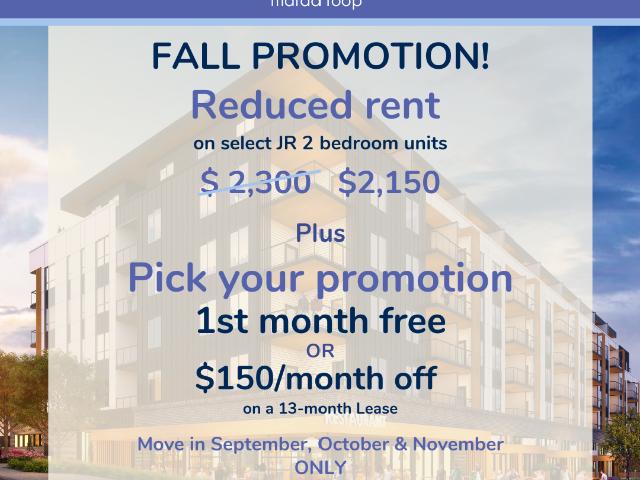 Madison Apartments 2 Jr Bedroom Apartment Apartment for Rent