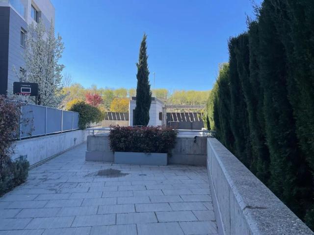 Madrid