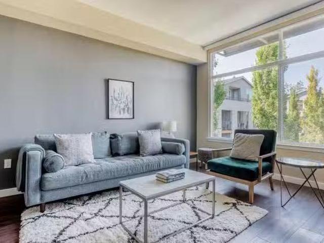 Madrone Apartments, 111 Rengstorff Ave, Mountain View 1 Bedr.