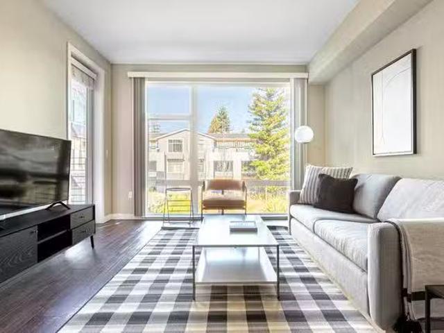Madrone Apartments, 111 Rengstorff Ave, Mountain View 2 Bedr.