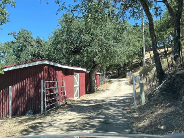 Madrone St