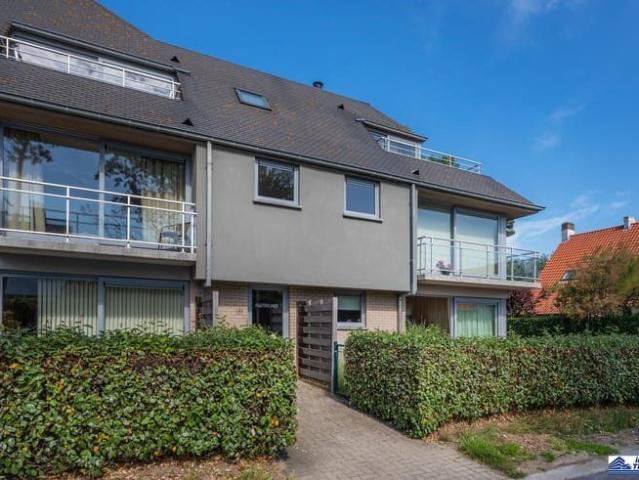 Maeterlinck 0102